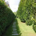 Le Palme Torrazza Piemonte