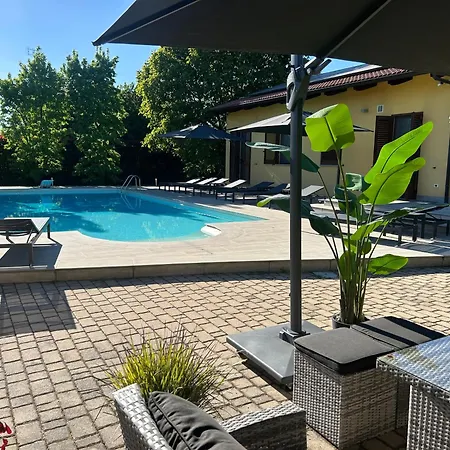 Le Palme