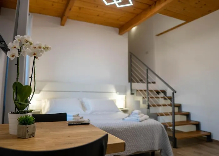 Le Palme Torrazza Piemonte