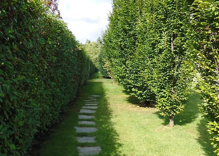Le Palme Torrazza Piemonte